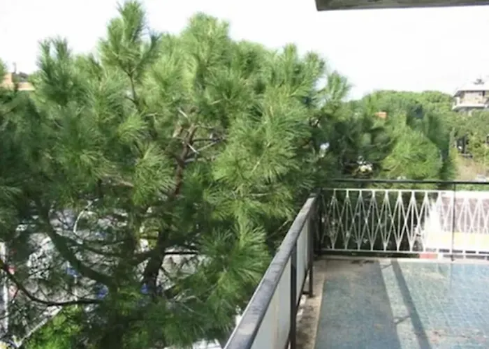 Отель Consul Рим